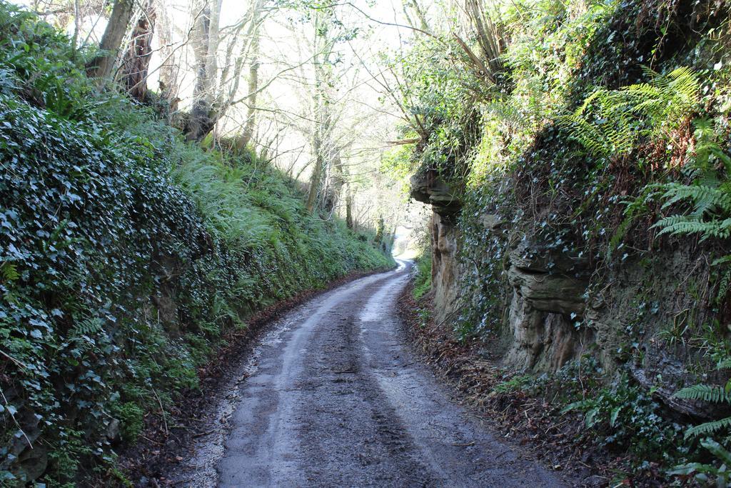 Cherrybrook Glastonbury Zewnętrze zdjęcie